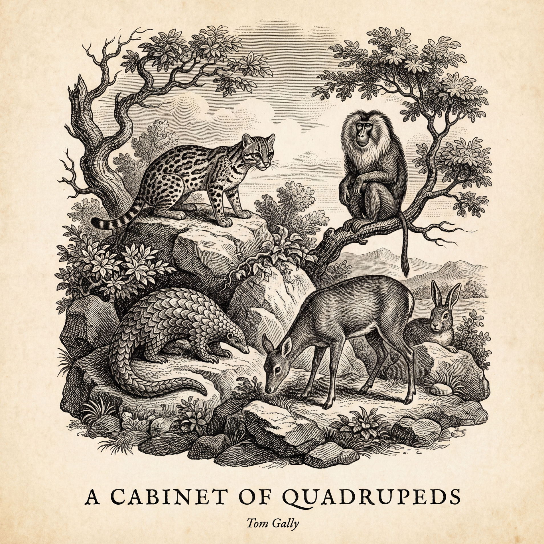 A Cabinet of Quadrupeds
