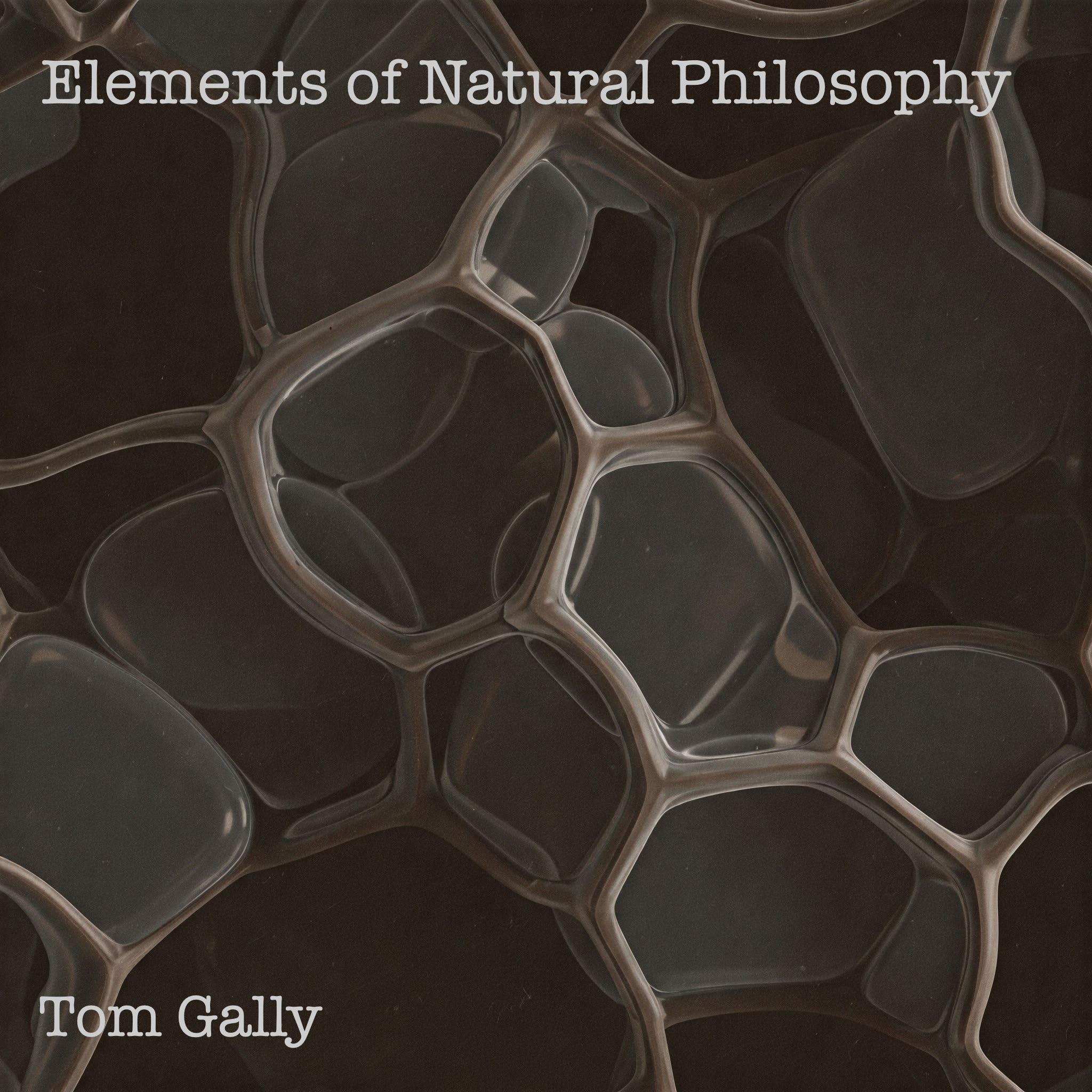 Elements of Natural Philsophy