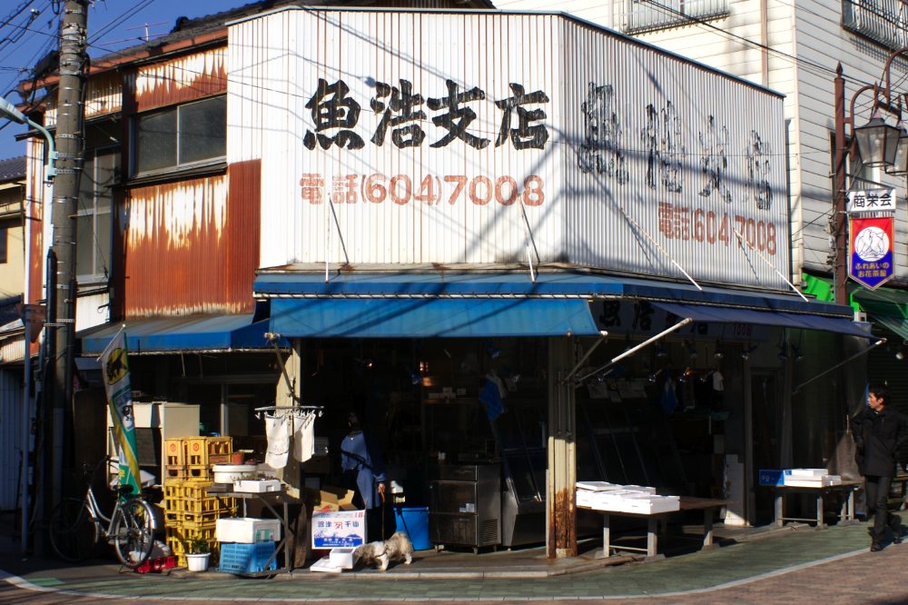 A fish store