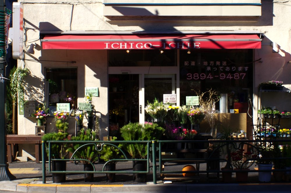 A flower shop